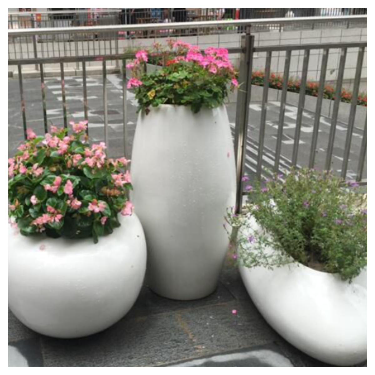 玻璃钢花盆与普通花盆区别