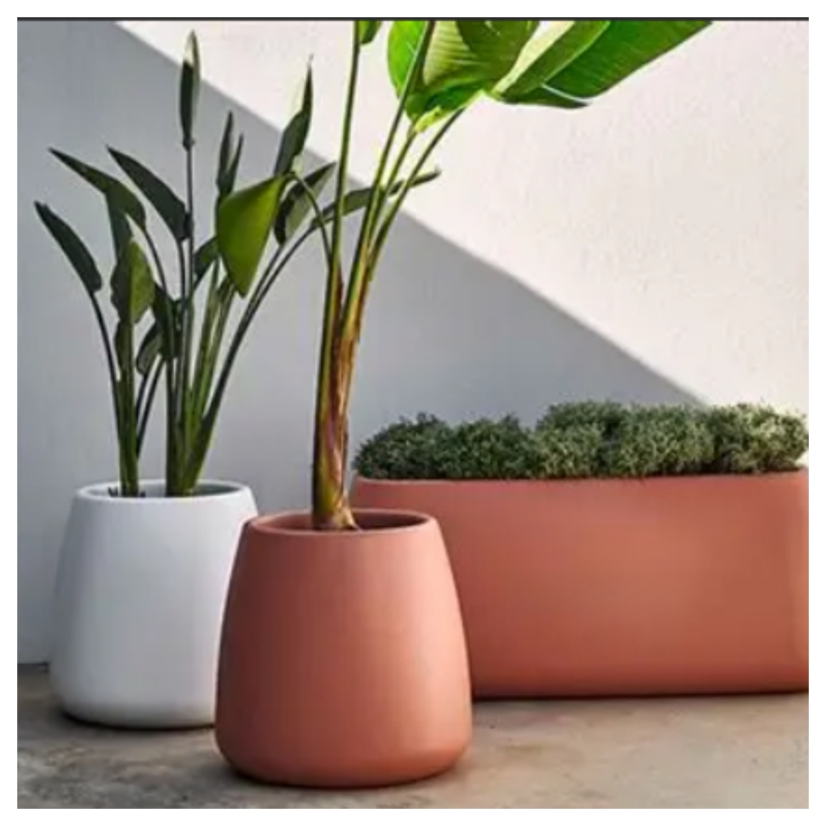 玻璃钢树盆/树箱